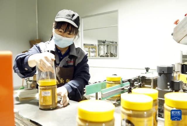 河北邢台:微工厂就业 家门口增收